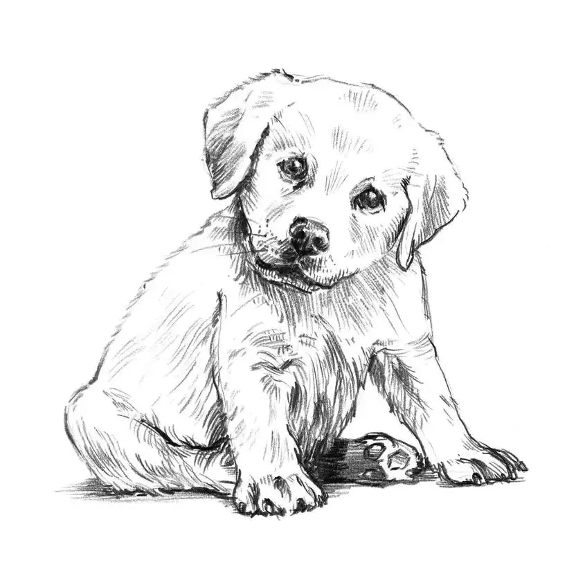Puppy